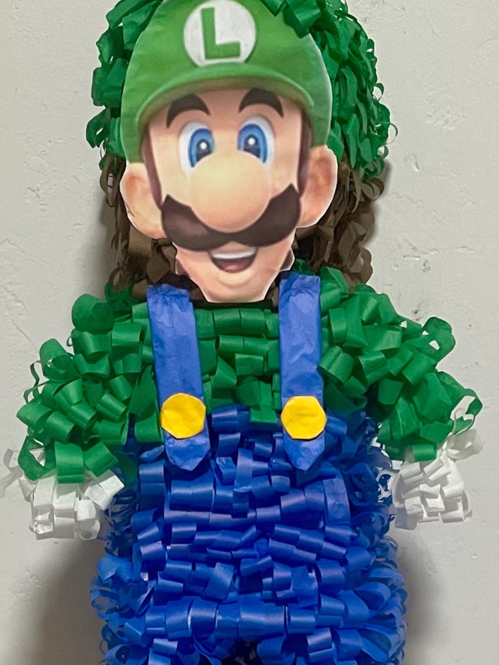 Super Mario Luigi  Pinata